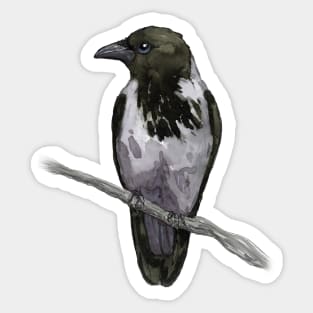 Hooded crow watercolor Sticker